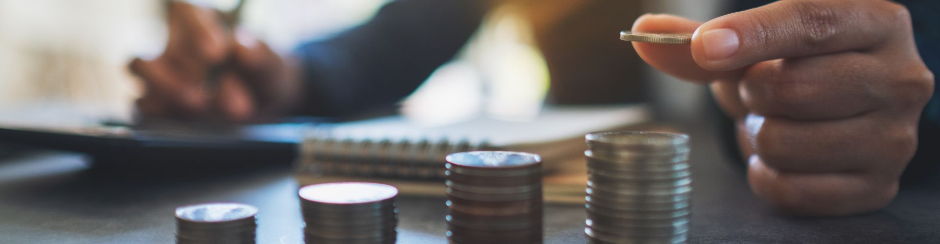 Immersion dans les savoirs financiers